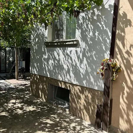펜션 The Cozy House